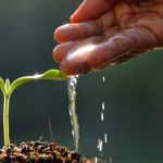 العودة إلى الخطاب الأخلاقي: الدّواعِي والمآلات قراءة في فلسفة أندريه كونت سبونفيل