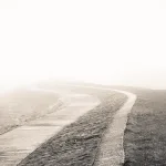 الاغتراب الكلي أعلى مراحل الرأسمالية