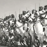 الحرب في الثقافة العربيّة الإسلاميّة:  رحلة المصطلح العسكريّ من اللغة العربيّة وإليها