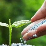 مكانة وقيمة نظرية الخيرية الطبيعية