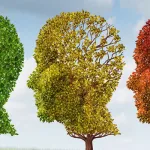 العقلانية النقدية