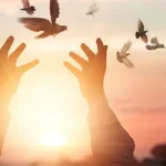 التسامح في خطاب الإصلاح الديني قراءة في أثر الحداثة في الفكر العربي الحديث