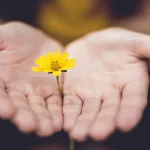 تجديد الخطاب الإسلامي المعاصر نقد التطرف والتعصب بالتسامح الديني