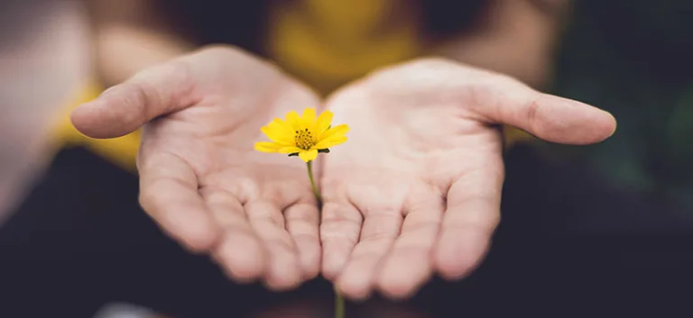 تجديد الخطاب الإسلامي المعاصر نقد التطرف والتعصب بالتسامح الديني