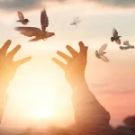 بيير بايل: حرّية الضمير وحرّية الاعتقاد