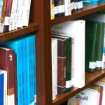 كيف نظَّر عبد الله العروي للرّواية؟