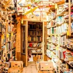 لماذا تتعاطف دوائر عديدة في الأكاديميا الغربية مع الإسلاموية؟