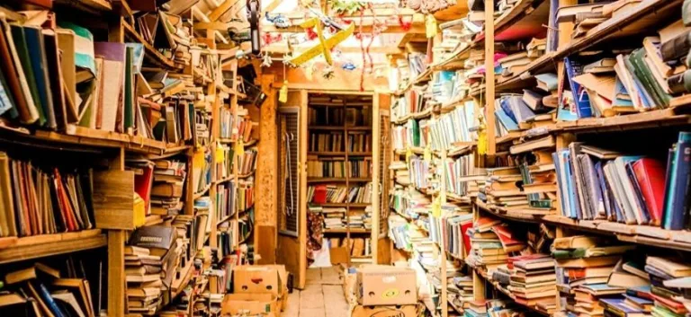 لماذا تتعاطف دوائر عديدة في الأكاديميا الغربية مع الإسلاموية؟