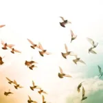 الردّة: قراءة في النص وتاريخ المفهوم