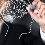 الإنسان والعقل والمصلحة في علم أصول الفقه عند المعتزلة، قراءة في فكر القاضي عبد الجبار الهمذاني (ت. 415 هـ)