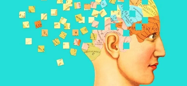 الإنسان مركّبًا