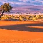 موضوع الصحراء في التجربة الفوتوغرافيّة المغربيّة