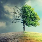 انتهاء الحياة (دراسة لغوية قرآنية موضوعية)