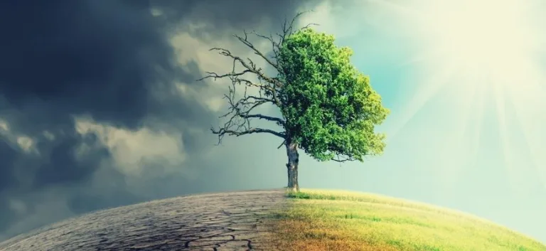 انتهاء الحياة (دراسة لغوية قرآنية موضوعية)