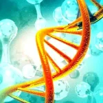 كيف تُشكِّلُنا الجينات والبيئة؟