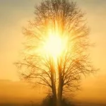 التنوير: في المفهومِ وظروف التشكل