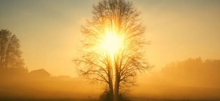 التنوير: في المفهومِ وظروف التشكل