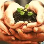 التفاوتات الاجتماعية وتفكك الرابط في القرن التاسع عشر وبزوغ مفهوم الاقتصاد الاجتماعي والتضامني