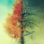 الموت والثقافة