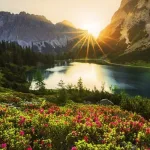 مفهوم الطبيعة لدى ابن رشد