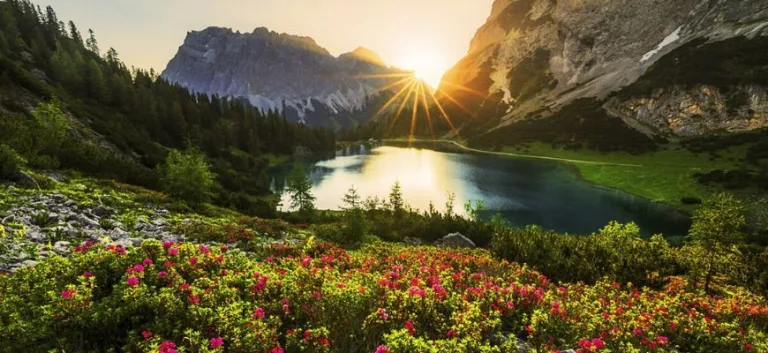 مفهوم الطبيعة لدى ابن رشد