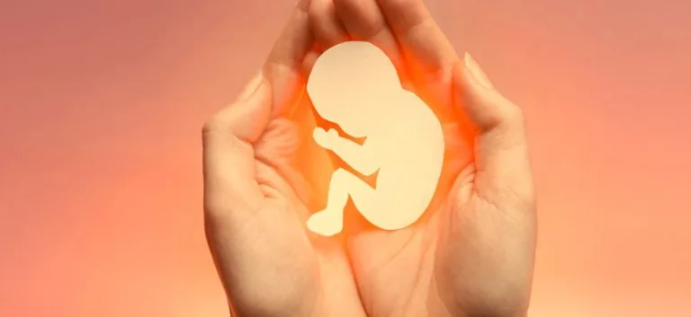 ماذا يمكن أن تقول لنا الفلسفة حول الحق في الإجهاض