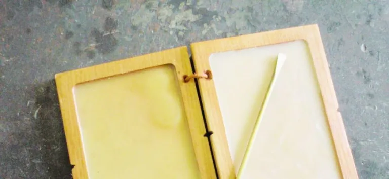 اللَّوْحُ الْمَمْسُوحُ TABULA RASA