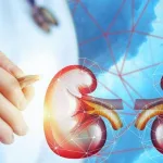 الضرورة في القانون الإسلامي المعاصر حالة زرع الأعضاء