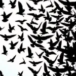 تشكل جسد الليبرالية الكلاسيكية  (تقاطع الفردية والذاتية مع أحداث تاريخية في سياق الحداثة)