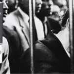 عن "سيد قطب" و"دوستويفسكي"