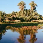 حقوق الماء وعملية السقي في مغارب القرون الوسطى