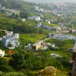 ضيافة الإنس للجن مَشاهد- مِيكرويّة طقوسية وإيكوصوفية لدى جْبَالَة في شمال المغرب