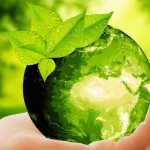 الفلسفة من التمركز الإنساني إلى التمركز البيئي:  أسس الفلسفة البيئية