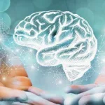 المقاربة العصبية للحكم الأخلاقي:  التطورات العلمية والفلسفية للفكر الأخلاقي