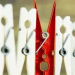 الدهماء في عصر التفاهة