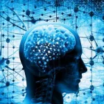 ممارسات العقل الإنساني ما بين العقل الأداتي والنقدي والتواصلي (رؤية تحليلية – نقدية)