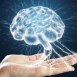 تأمّلات العلوم الإنسانية في العقل مقاربة إبستمولوجية في القضايا والمقولات