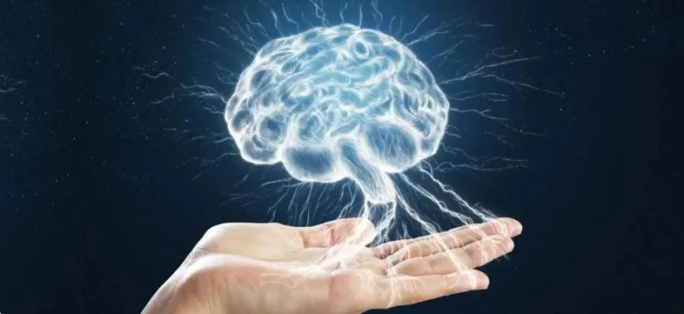 تأمّلات العلوم الإنسانية في العقل مقاربة إبستمولوجية في القضايا والمقولات