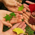 مفهوم التسامح بين الاعتراف والتحرر؟ قراءة تحليلية في موقف راينير فورست