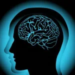 الفكر المقلد