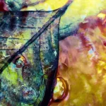 الفلسفة الطبيعية