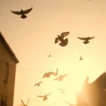 الليبرالية والدين