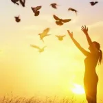 الحرية وحدود سلطة الدولة