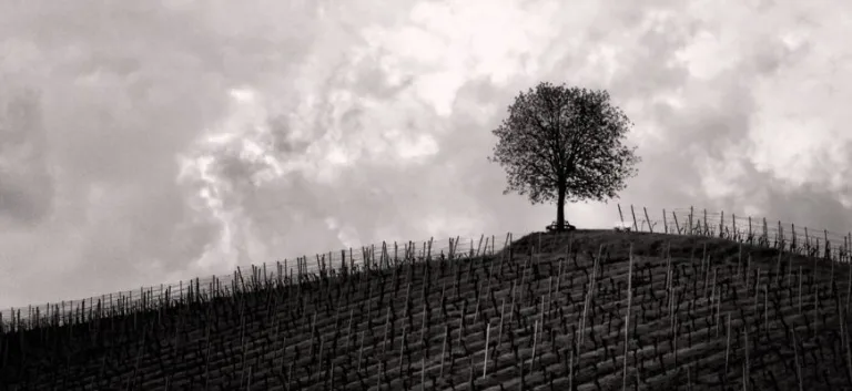 ما هي أَخْلاقُ الإيمانِ؟