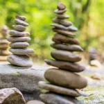 بيولوجيا الدول- مقاربة صرفية