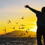 الـحــريــة بـــوصــفـــها مشروعـا مستـمـرًّا