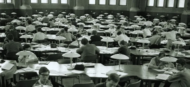 لا شيء أكثر فلسفية من التنوع