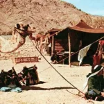 عن البداوة والتراث… مدخل تفسيري وملاحظات أوّليّة