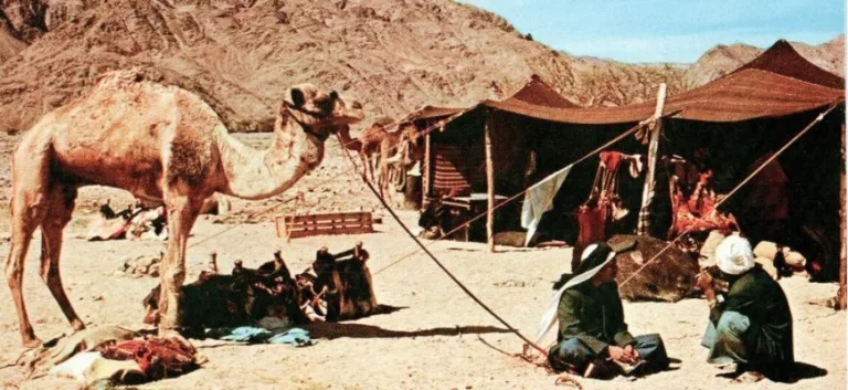 عن البداوة والتراث… مدخل تفسيري وملاحظات أوّليّة