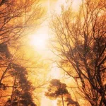 الحاجة إلى إبستمولوجيا التعقيد في الدرس الفلسفي